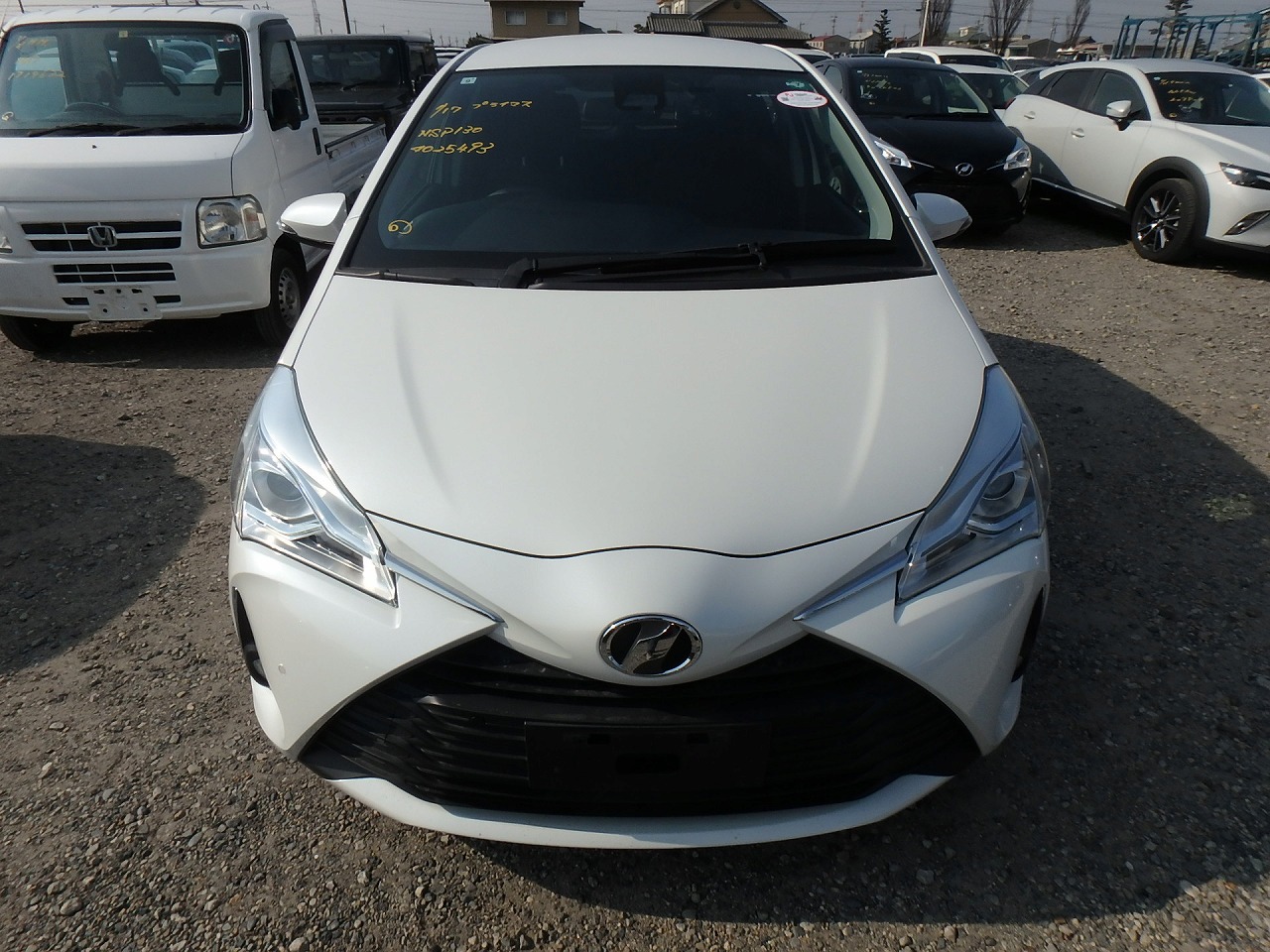 TOYOTA VITZ F SAFATY EDITION