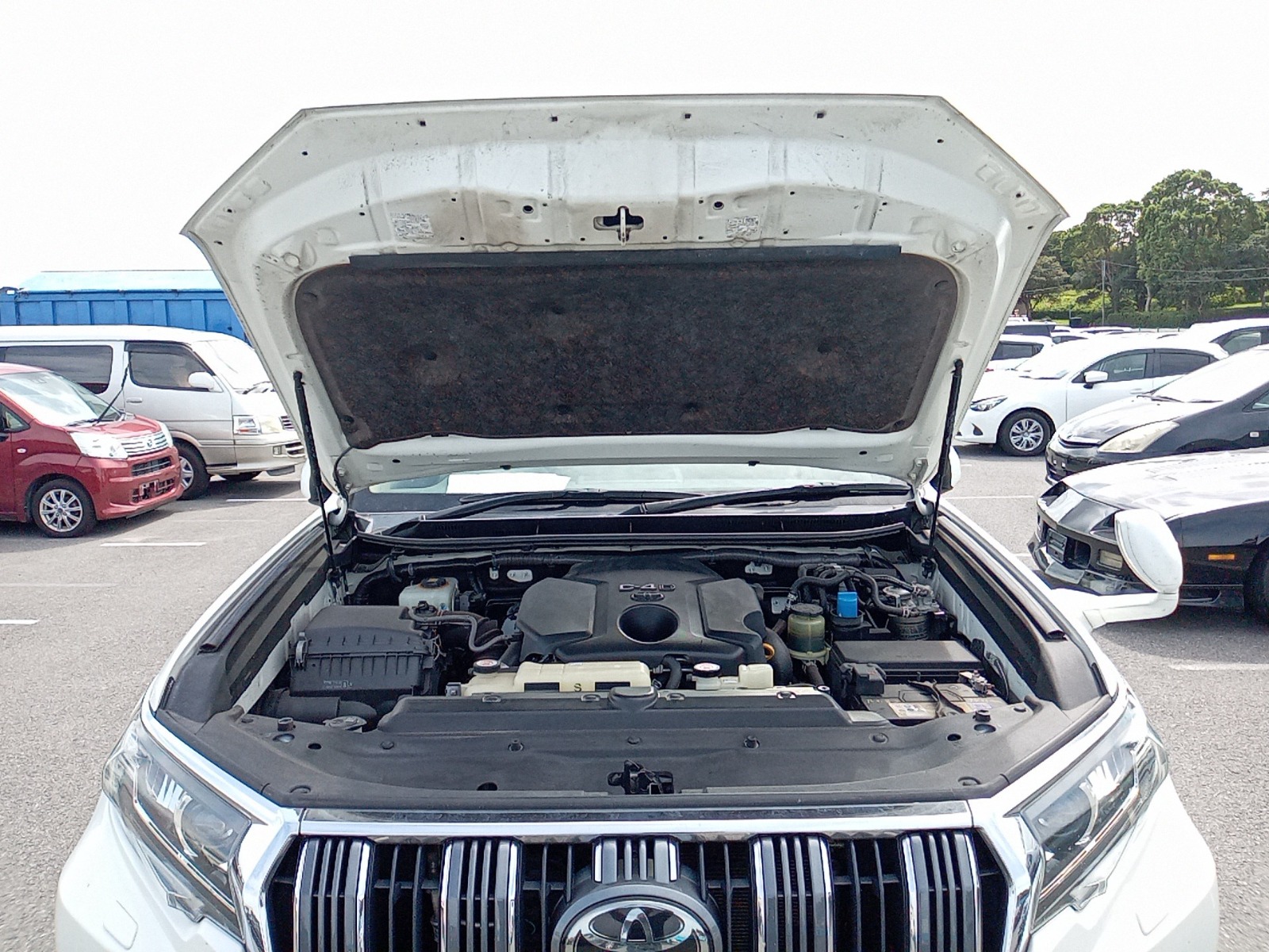 TOYOTA LAND CRUISER PRADO