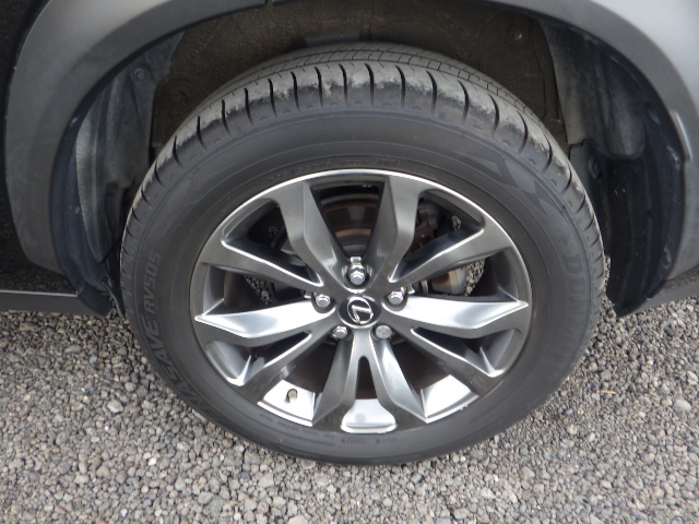 LEXUS NX200T F SPORT