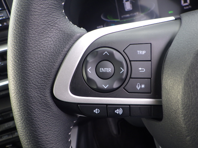 TOYOTA RAIZE HYBRID Z