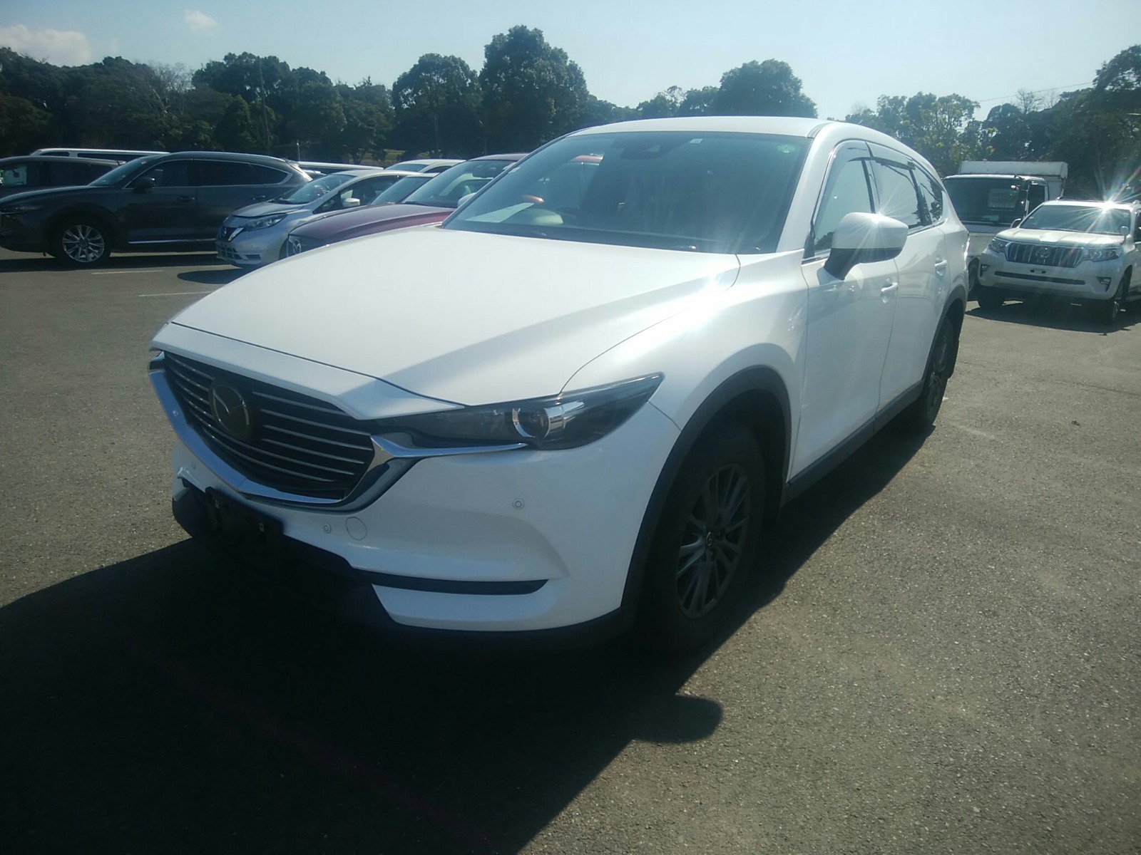 MAZDA CX-8 XD