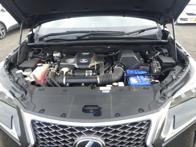 LEXUS NX200T F SPORT